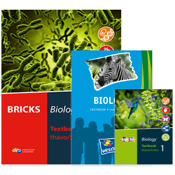 BRICKS Biology BRICKS Biology